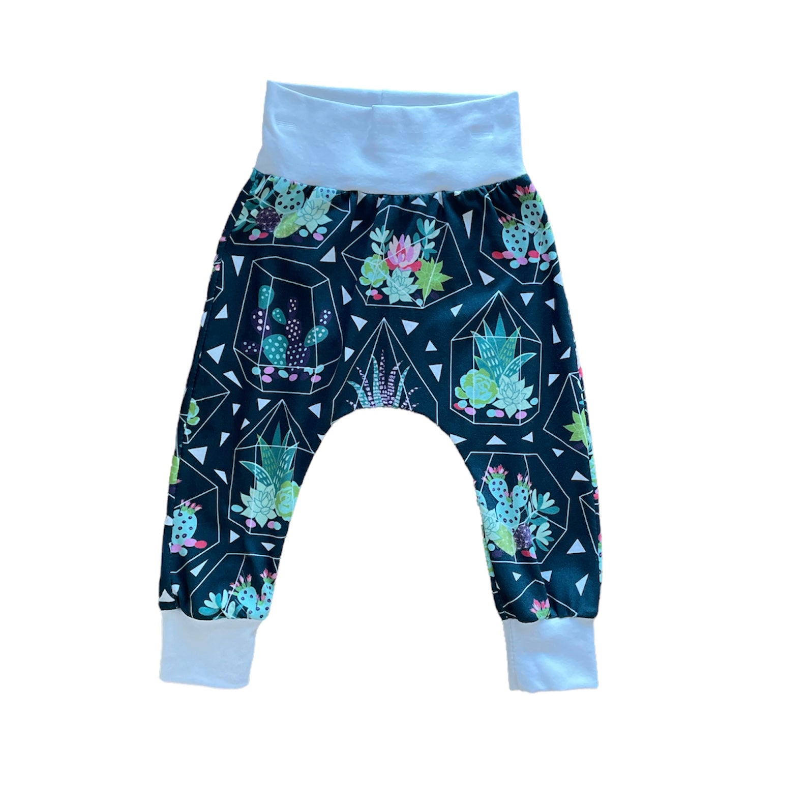 Cactus geo harems