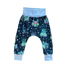 Cactus geo harems